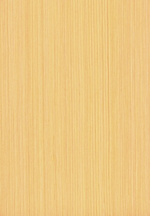 ModernWood Texture