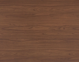 ModernWood Texture
