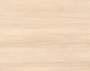 ModernWood Texture