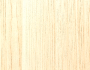 ModernWood Texture