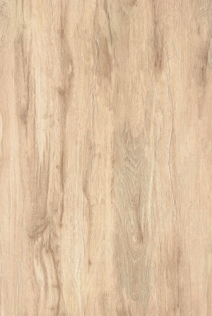 ModernWood Texture