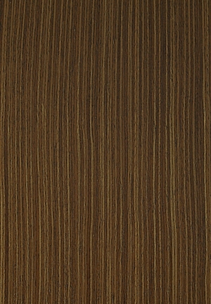 ModernWood Texture