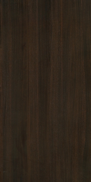 ModernWood Texture