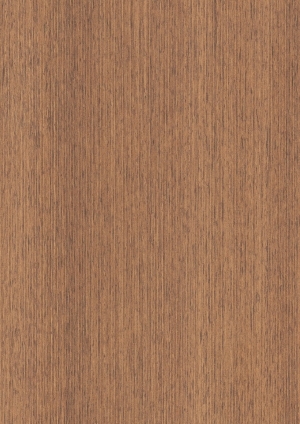 ModernWood Texture