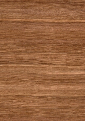 ModernWood Texture