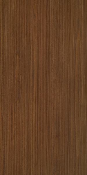 ModernWood Texture