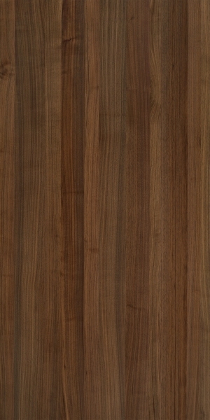 ModernWood Texture