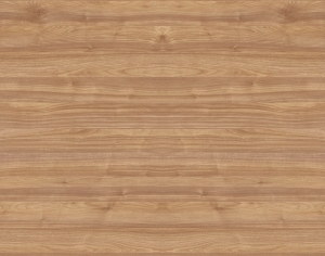 ModernWood Texture