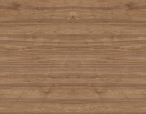 ModernWood Texture
