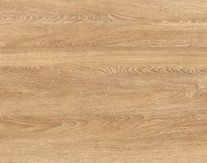 ModernWood Texture