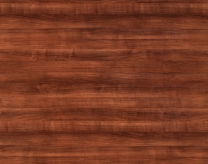ModernWood Texture