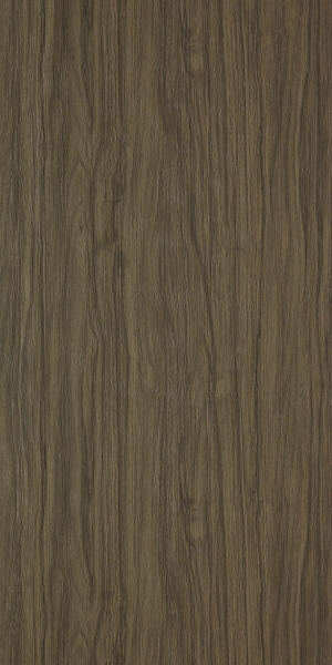 ModernWood Texture