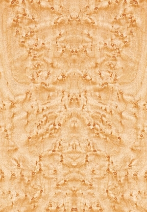 ModernWood Texture