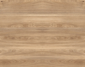 ModernWood Texture
