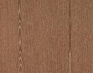 ModernWood Texture