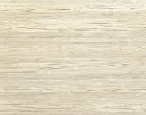 ModernWood Texture