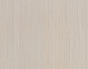 ModernWood Texture