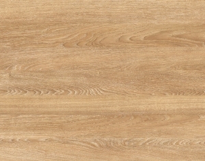 ModernWood Texture