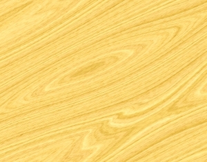 ModernWood Texture