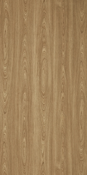 ModernWood Texture