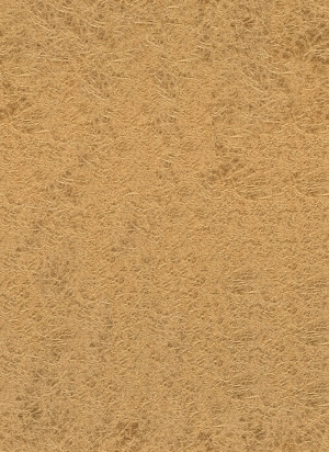 ModernWood Texture
