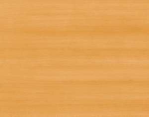 ModernWood Texture
