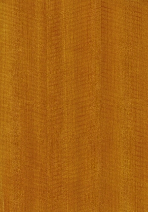 ModernWood Texture