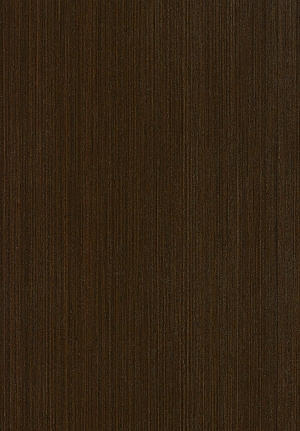 ModernWood Texture