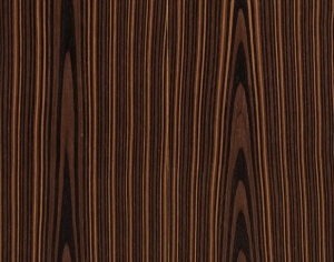 ModernWood Texture
