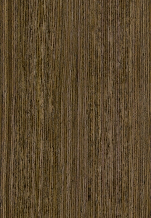 ModernWood Texture