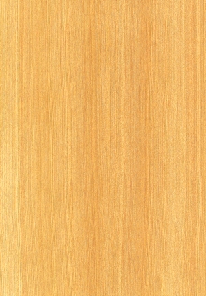 ModernWood Texture