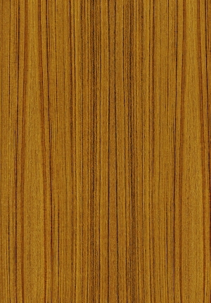 ModernWood Texture