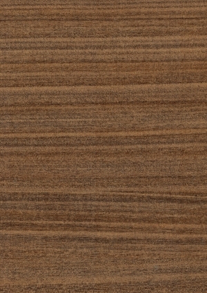 ModernWood Texture