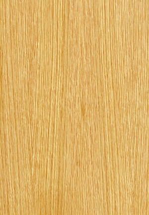 ModernWood Texture