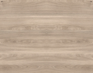 ModernWood Texture