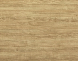 ModernWood Texture