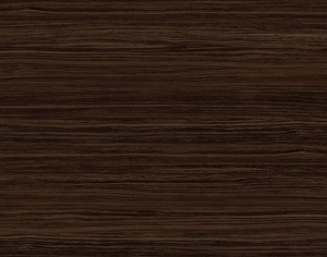 ModernWood Texture