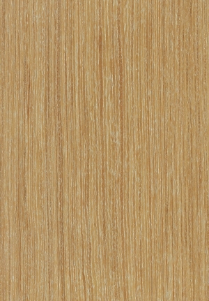 ModernWood Texture