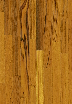 ModernWood Texture