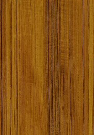 ModernWood Texture