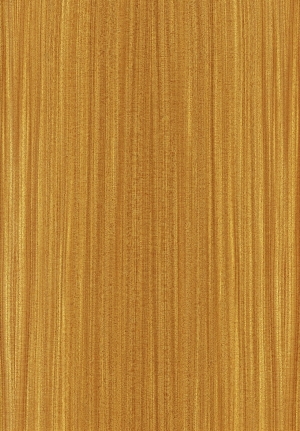 ModernWood Texture
