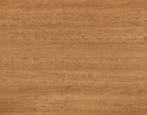 ModernWood Texture