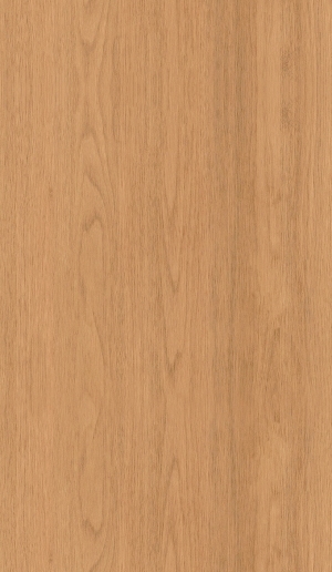ModernWood Texture