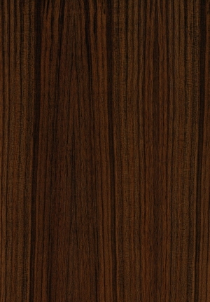 ModernWood Texture