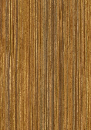 ModernWood Texture