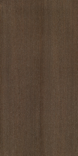 ModernWood Texture