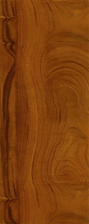 ModernWood Texture