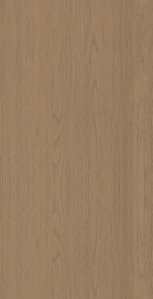 ModernWood Texture