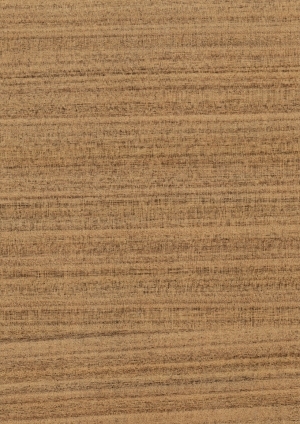 ModernWood Texture