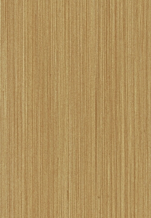 ModernWood Texture